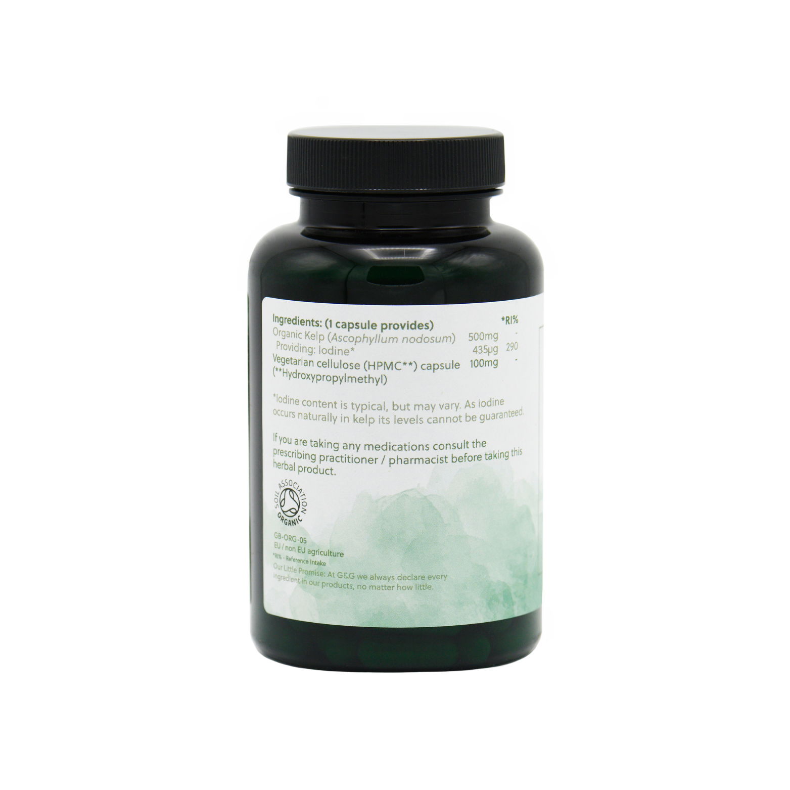 linke Ansicht, Kelp, 