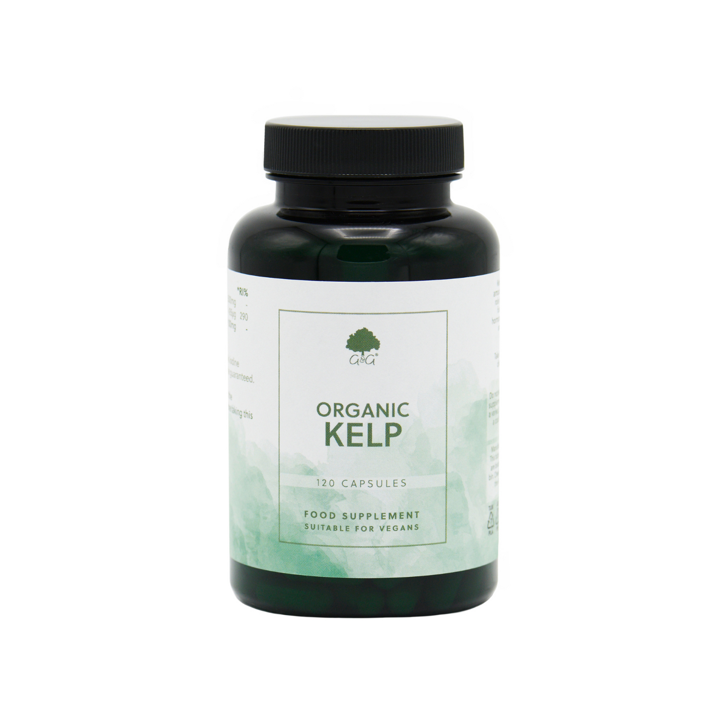Vorderansicht, Kelp 120 Kapseln G&G Vitamine