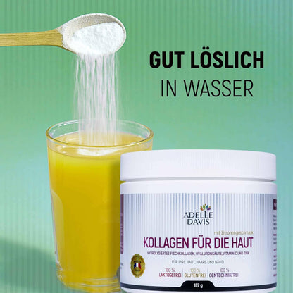 Kollagen für die Haut - Kollagen Pulver mit Typ 1 und 3 - Enthält Hyaluronsäure - 187g - Adelle Davis®