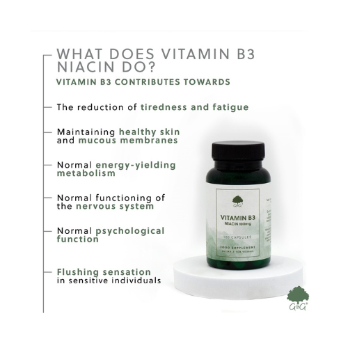 Vitamin B3 Niacin 100mg - 120 Vegane Kapseln