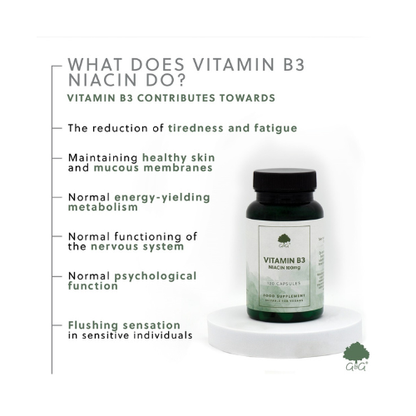 Vitamin B3 Niacin 100mg - 120 Vegane Kapseln