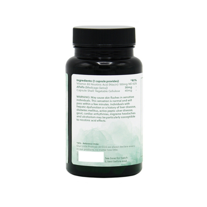 Vitamin B3 Niacin 100mg - 120 Vegane Kapseln