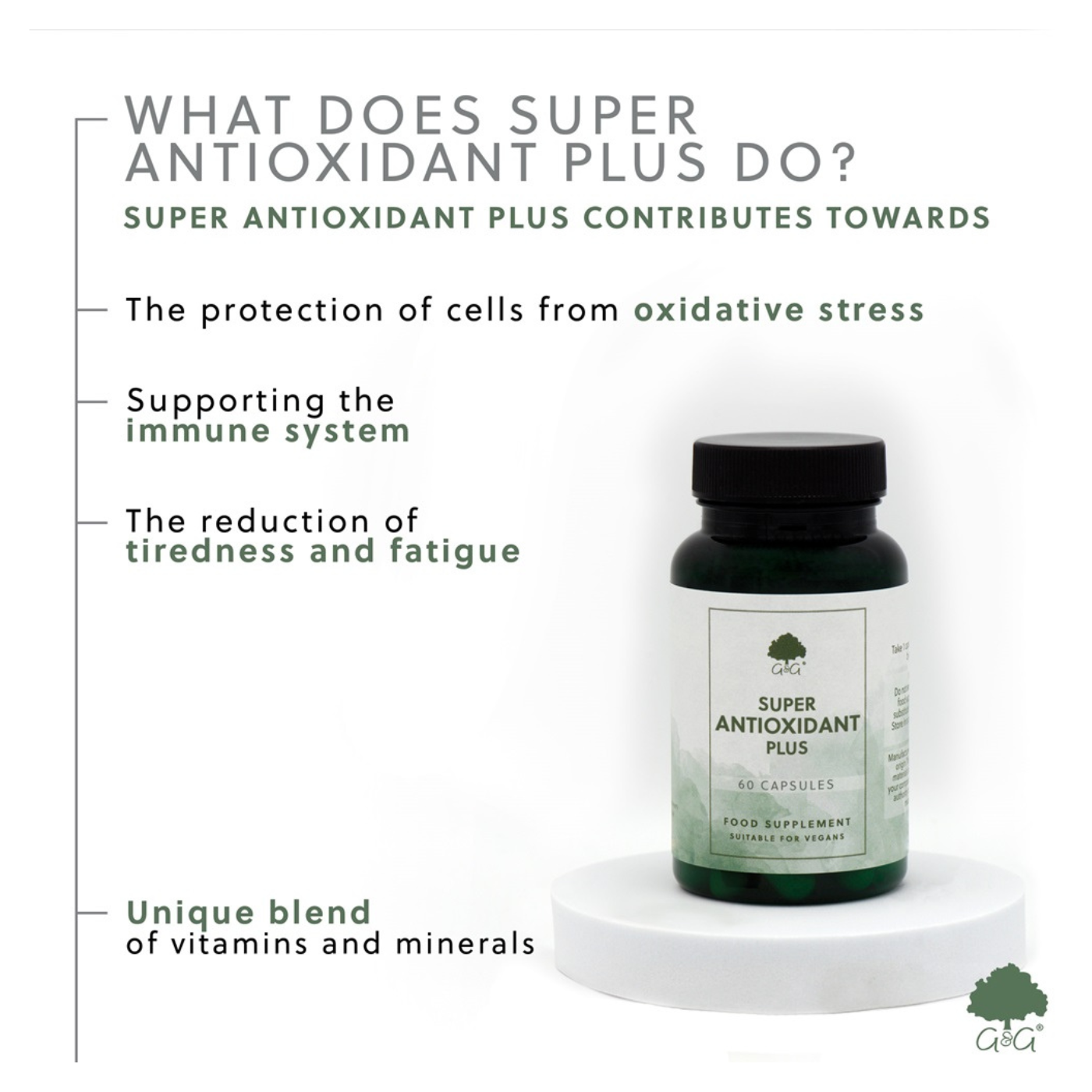 Antioxidantien-Plus mit Vitamin C, E, Zink & Pflanzenextrakten – vegan